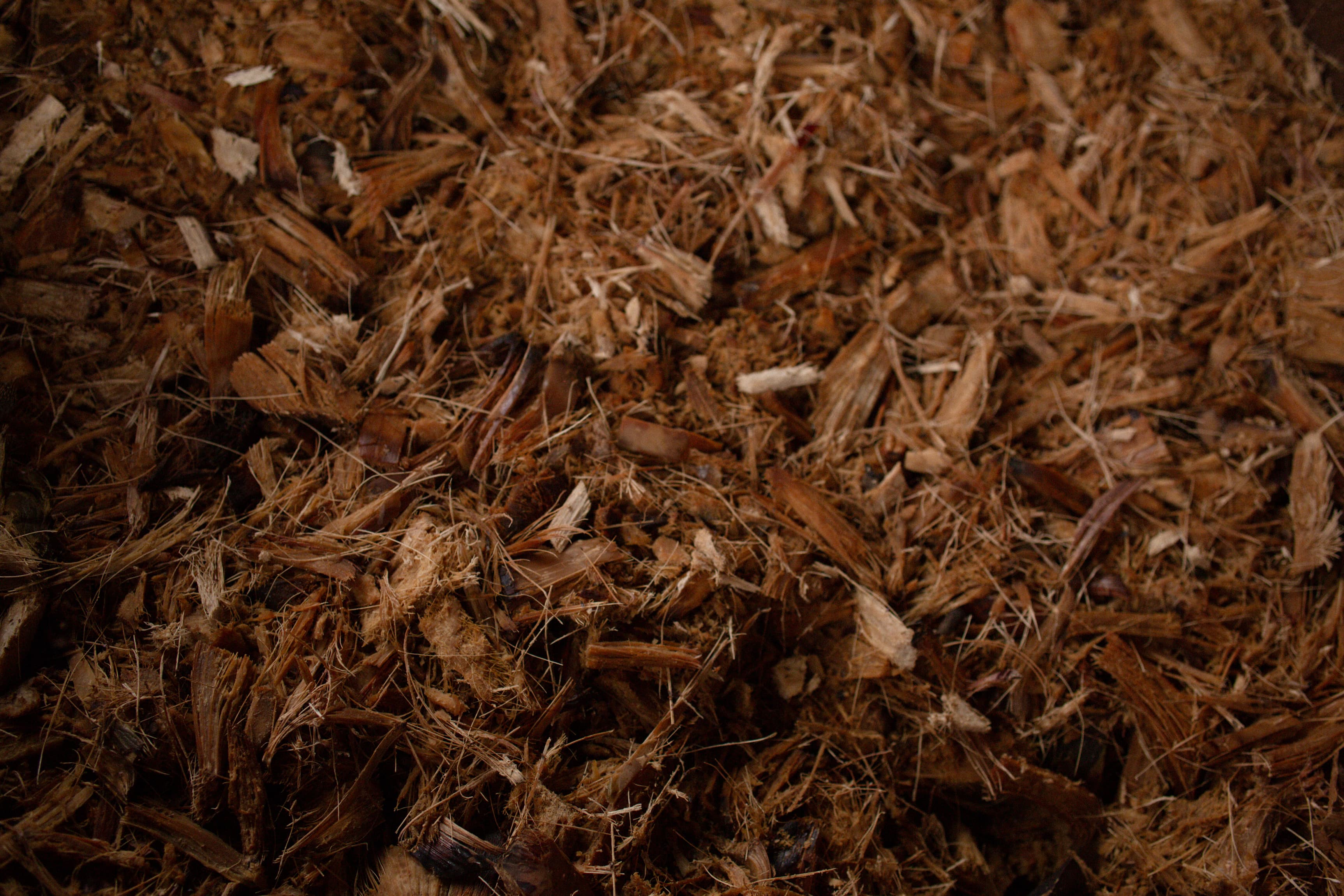 Detalle Apotheca